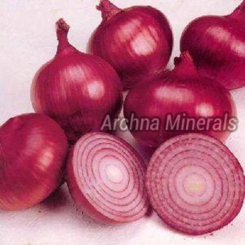 Fresh Red Onion For Cooking Preserving Compound: Cool And Dry Place