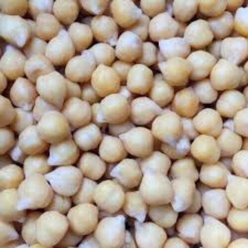 Fresh White Chickpeas for Cooking