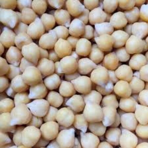 Fresh White Chickpeas - Medium Whole Pulses, 100% Organic, Natural Dried, Creamy Color, Good for Health, Ideal for Cooking and Fast Food Snacks