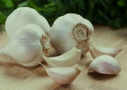 Fresh White Natural Garlic Preserving Compound: Cool And Dry Place