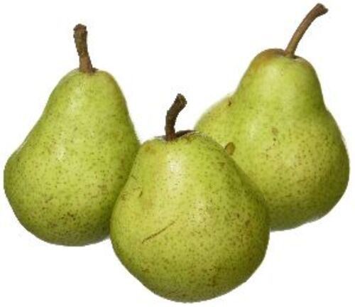 Organic Green Fresh Pears Fruits