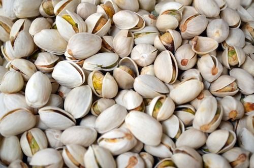 Fresh Natural Pistachios Nuts