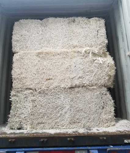 Virgin Softwood Pulp