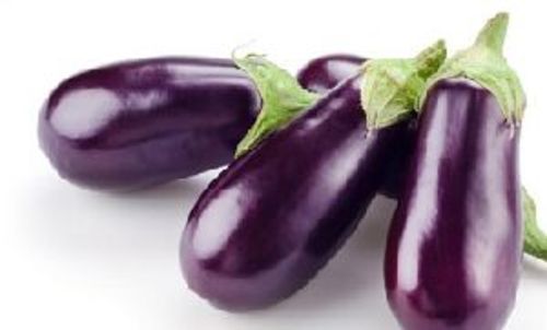 A Grade Fresh Brinjal for Cooking