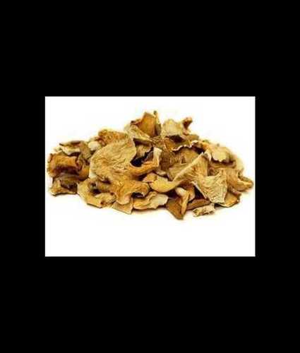 White Export Quality Dried Oyster Mushroom