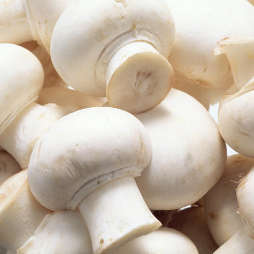 White Fresh Mushrooms for Cooking