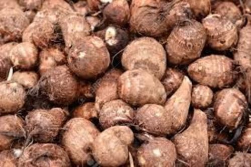 Brown Fresh Taro For Cooking Preserving Compound: Cool And Dry Place