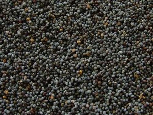 Drid Black Poppy Seeds