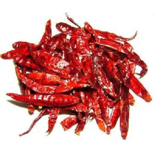 Dried Red Chilli for Food