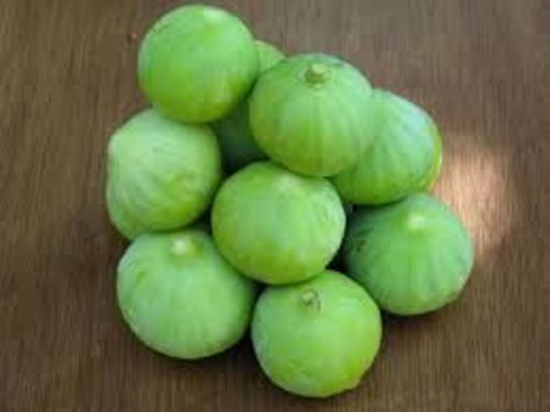 Fresh Green Apple Gourd - Grade A, 100% Freshness, Round Shape, Chopped Style | Easy To Digest, Good In Taste