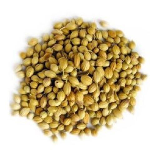 Pure Coriander Seeds for Food
