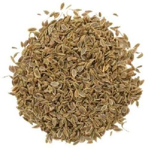 Pure Dill Seeds for Food