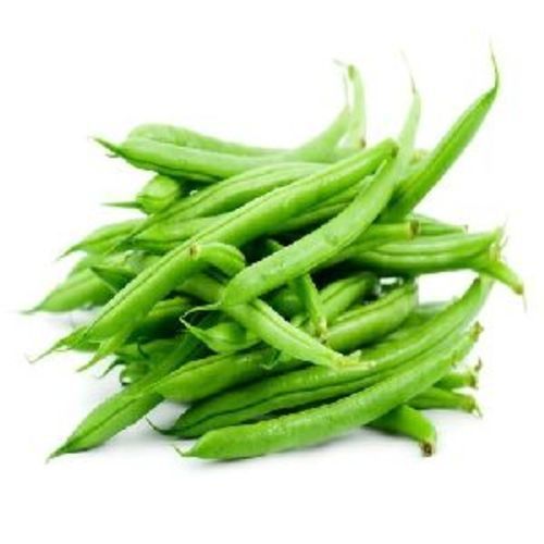 Fresh Green Beans for Cooking