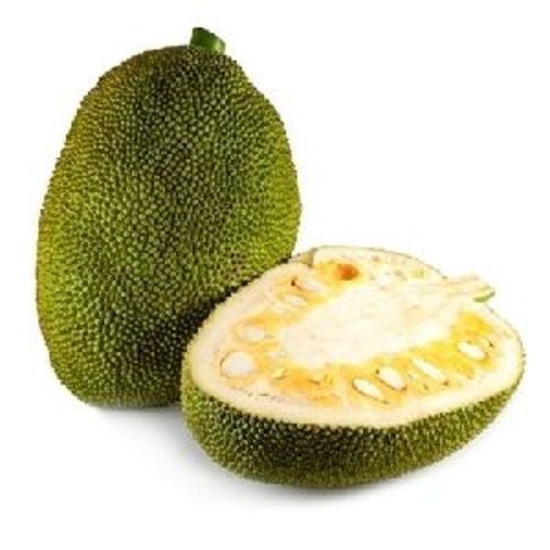 Fresh Green Jackfruit - Organically Grown, Premium Grade A, 99% Maturity, Chopped for Cooking, Packed in Cool and Dry Place