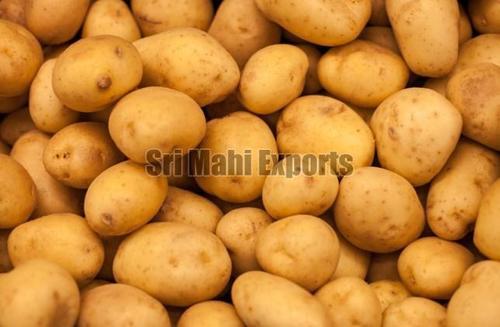 Fresh Natural Potato For Cooking Preserving Compound: Cool And Dry Place