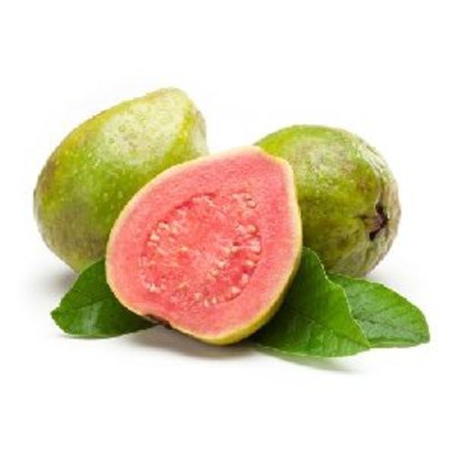 Fresh Red Guava Fruits