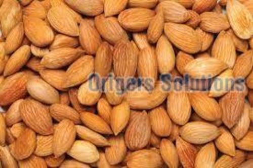 Almond Kernels Health Food