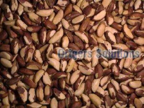 Brown Brazil Nuts Health Food