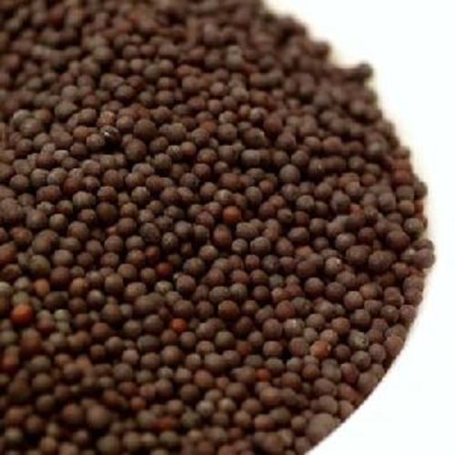 Organic Brown Mustard Seeds For Food