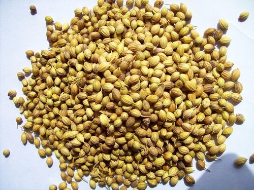 Coriander Seeds (Dhania, Kothmir)