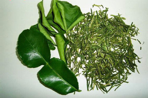 Green Dried Kaffir Lime Leaves