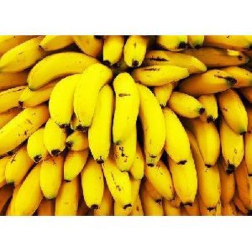 Fresh Yellow Banana Fruits