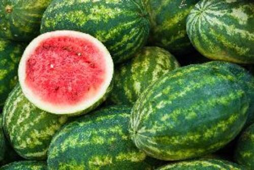 Hybrid Green Watermelon For Food