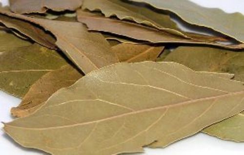 100% Pure and Natural Bay Leaf