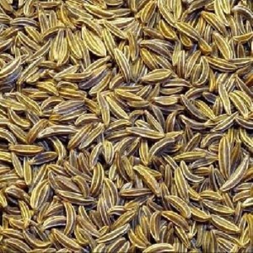 Pure and Natural Cumin Seeds