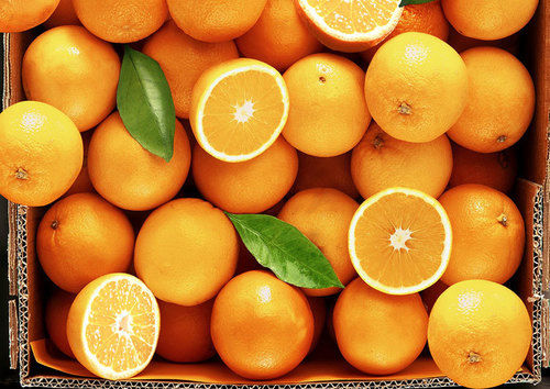 Rich Taste Fresh Orange