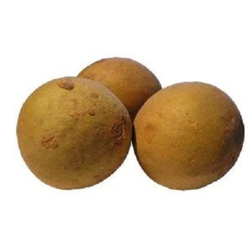 Brown Fresh Sapota Fruits