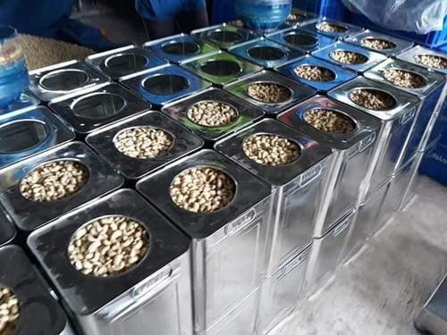 Dried Cashew Nuts Kernels