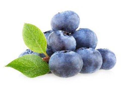 Fresh Natural Blueberry Fruits