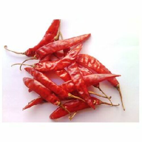 Dried Red Chilli for Food