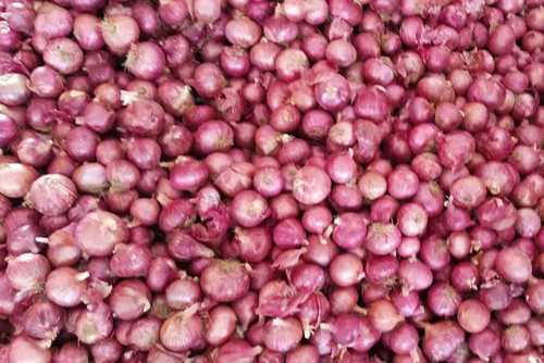 Large Fresh Red Onion