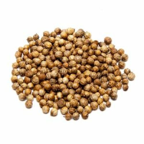 Pure Coriander Seeds For Food