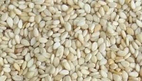 Organic White Natural Sesame Seeds