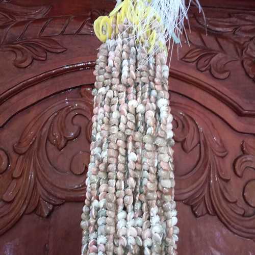 Button Sea Shell Long Hanging