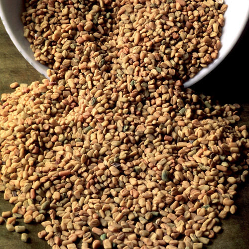 Impurity Free Fenugreek Seeds Purity: 100%