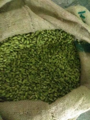 Premium Whole Large Green Cardamom