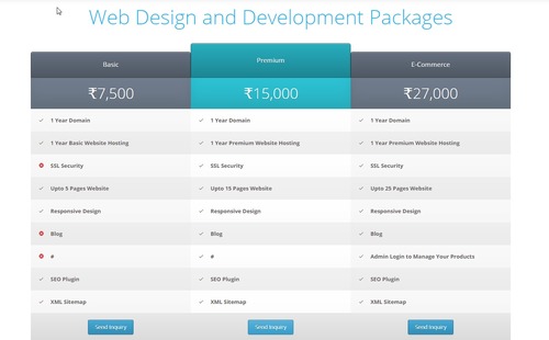 Development Service - Online Access Reasonable Charges Hassle-Free Experience
