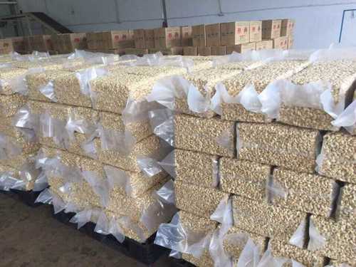 White Export Quality Cashew Nuts