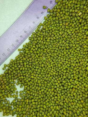 Fresh Green Mung Beans