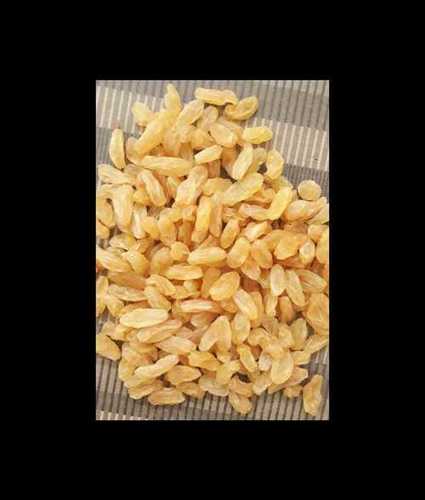 Golden Yellow Export Quality Natural Dried Raisin