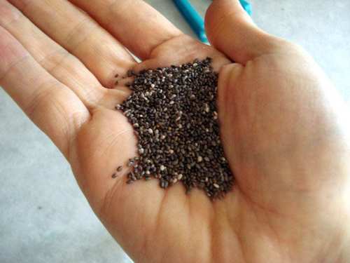 White And Black Gluten Free Chia Seeds