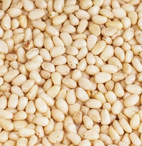 Cream Pine Nuts For Edible Oil