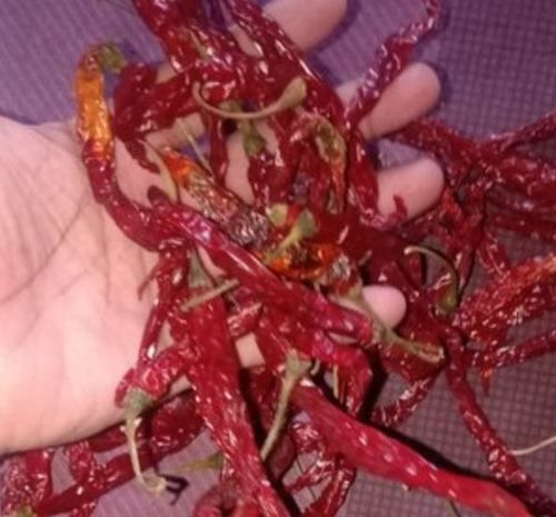 Dried Byadgi Red Chilli Grade: Edible