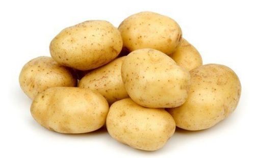 Vary Export Quality Organic Potato