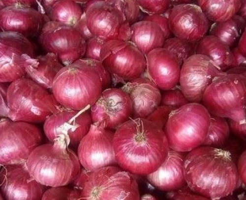 Farm Fresh Red Onion