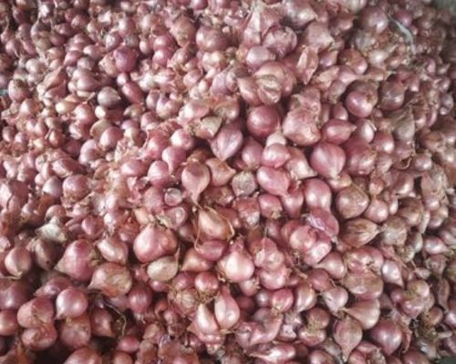 Vary Fresh Red Sambhar Onion